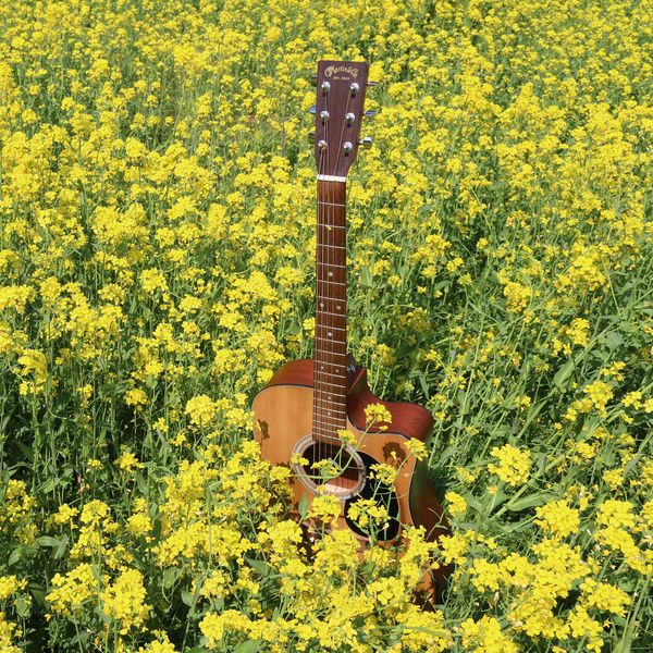 어쿠파티 3 사진