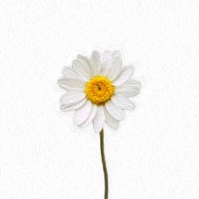 꽃이 되었네 (Feat. 제임스) 사진