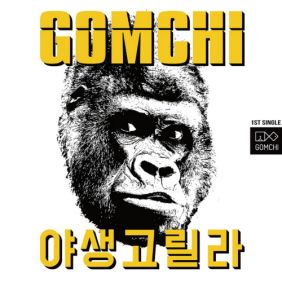  야생고릴라 사진