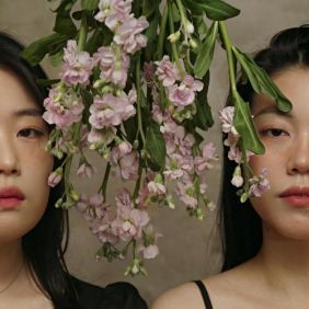 벚꽃이 제일 싫어 사진